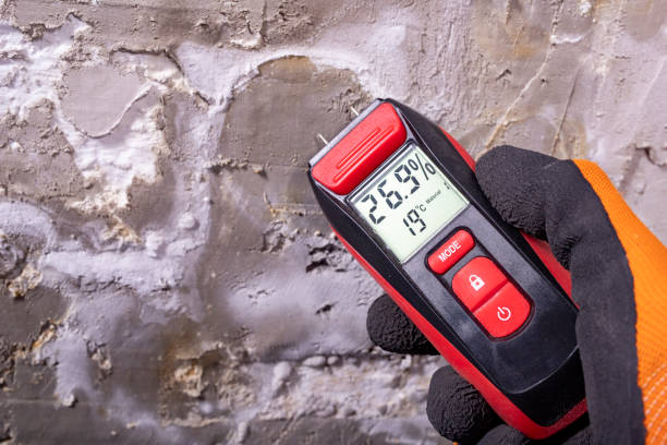 Best Mold Testing  in George, IA