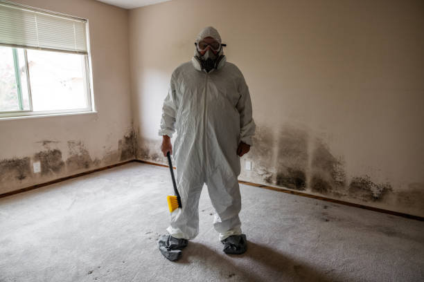 Best Crawl Space Mold Removal  in George, IA